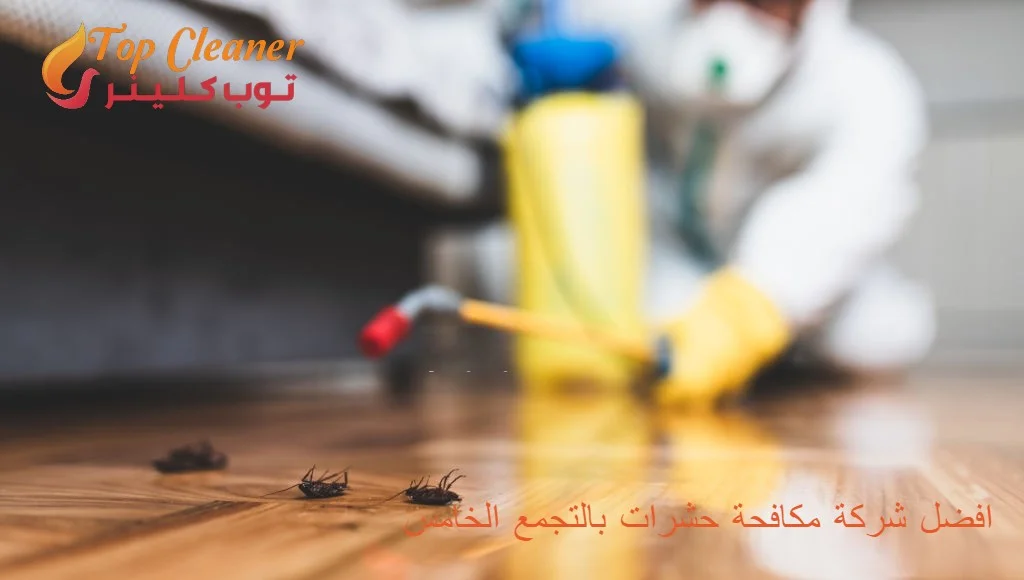 افضل شركة مكافحة حشرات