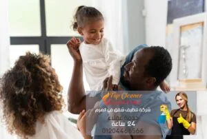 شركة تنظيف شقق في الهرم