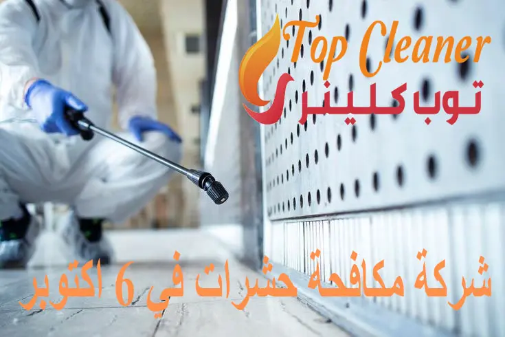 شركة مكافحة حشرات في 6 اكتوبر