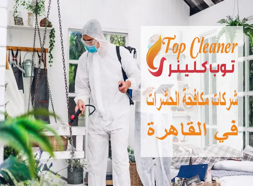شركات مكافحة الحشرات في القاهرة