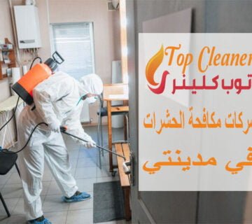 شركات مكافحة الحشرات في مدينتي