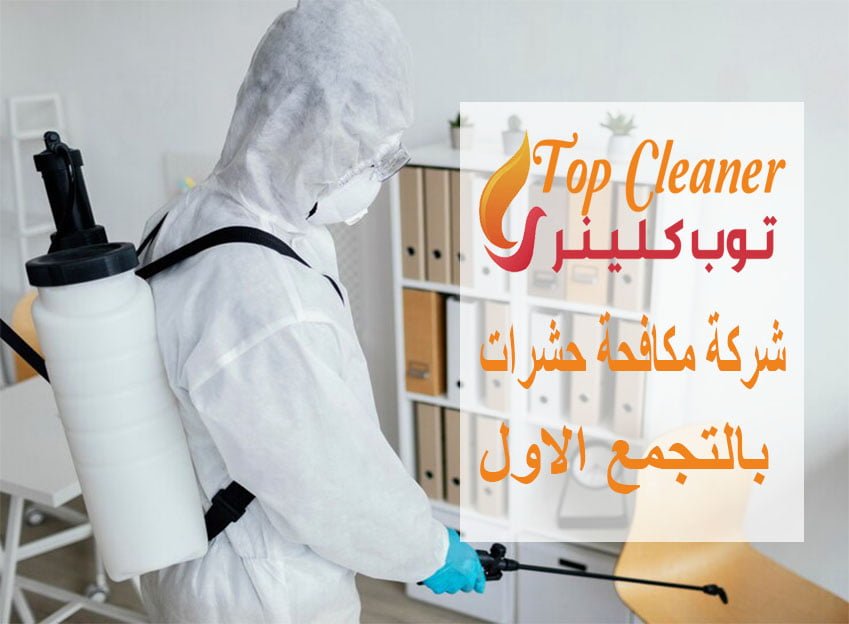 شركة مكافحة حشرات بالتجمع الاول