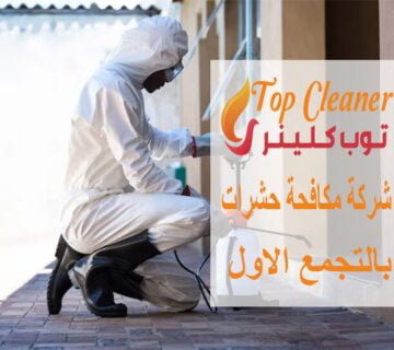 شركة مكافحة حشرات بالتجمع الاول