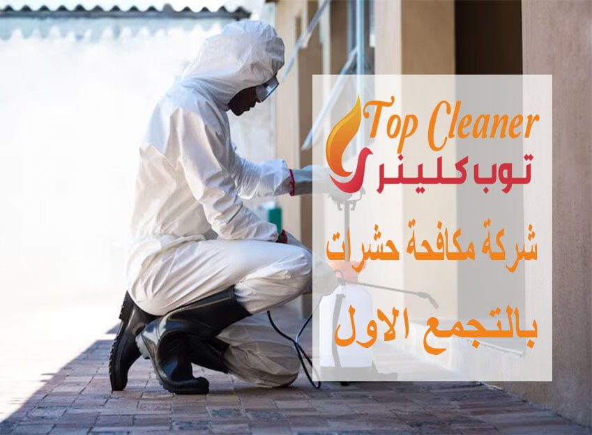 شركة مكافحة حشرات بالتجمع الاول